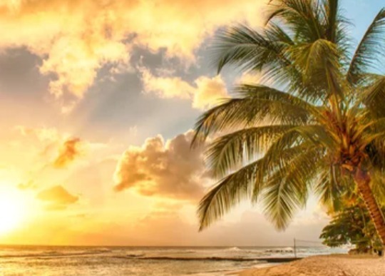 @hotbabeleg banner image