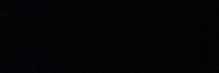 Carol & Jhony banner image