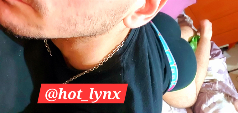 Lynx cover image