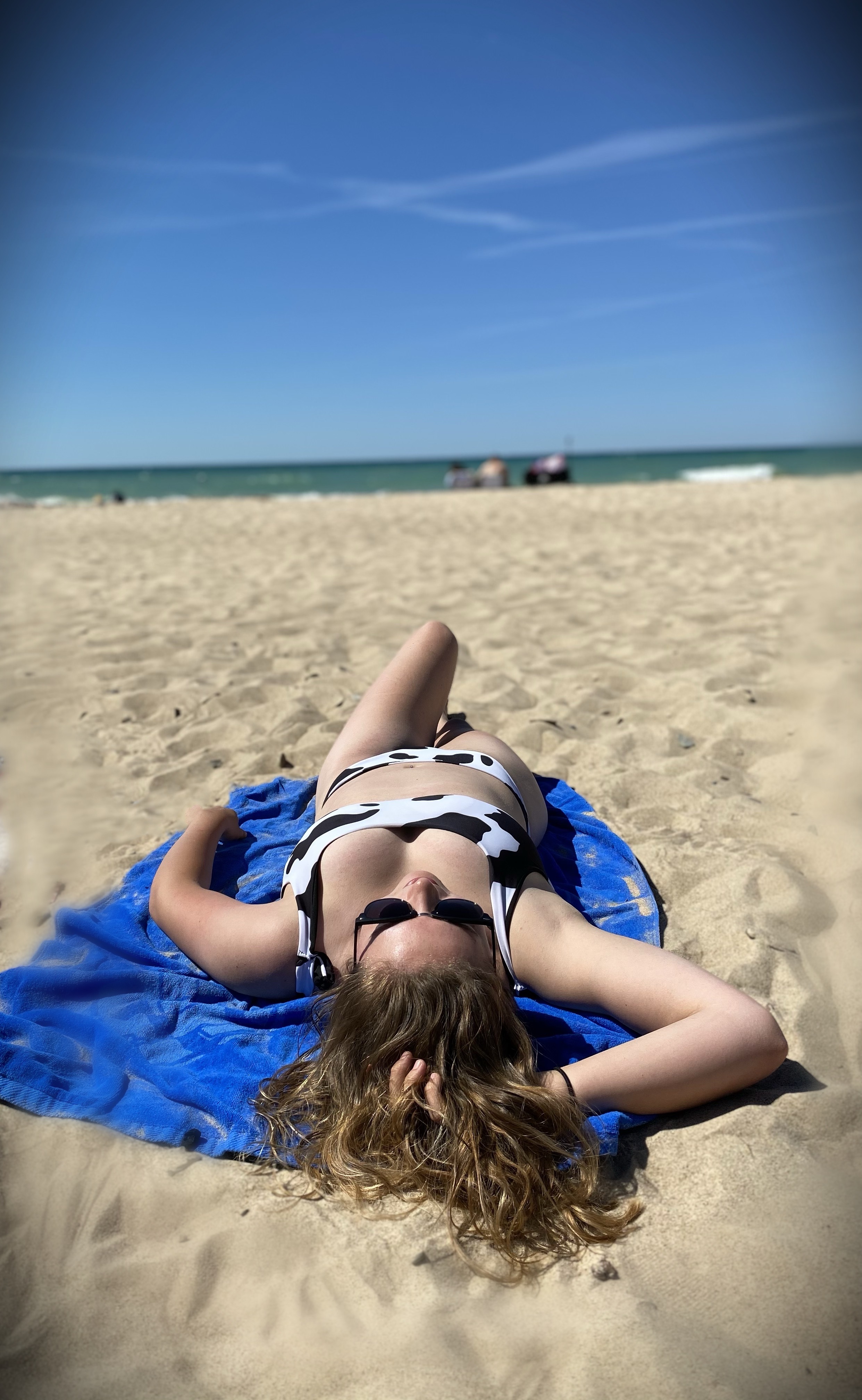 Lexi banner image