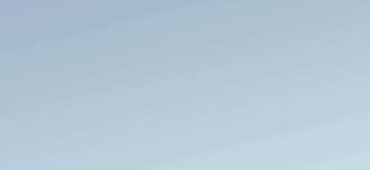 Ella banner image