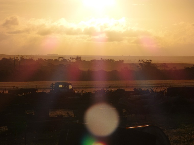 HotAussieNerd cover image
