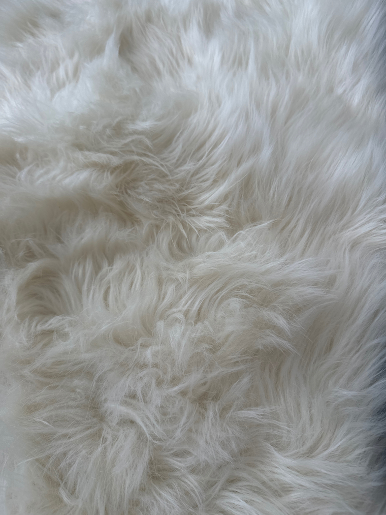 hotazntootsies banner image