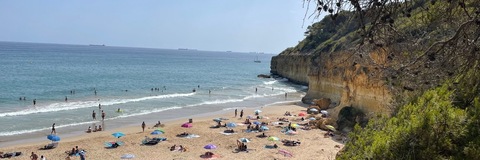 Hotbeachboys cover image
