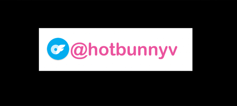 Hot Bunny V banner image
