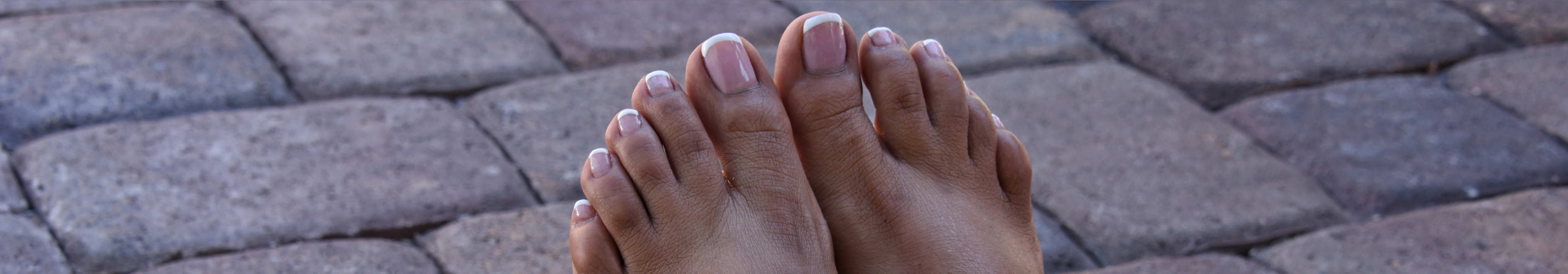Anna_Soles banner image