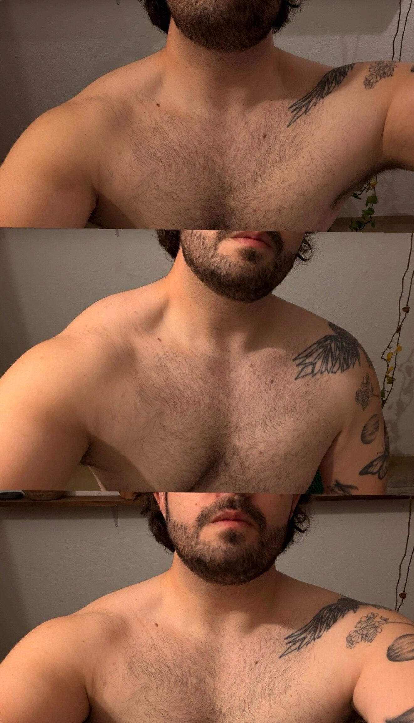 mateo banner image