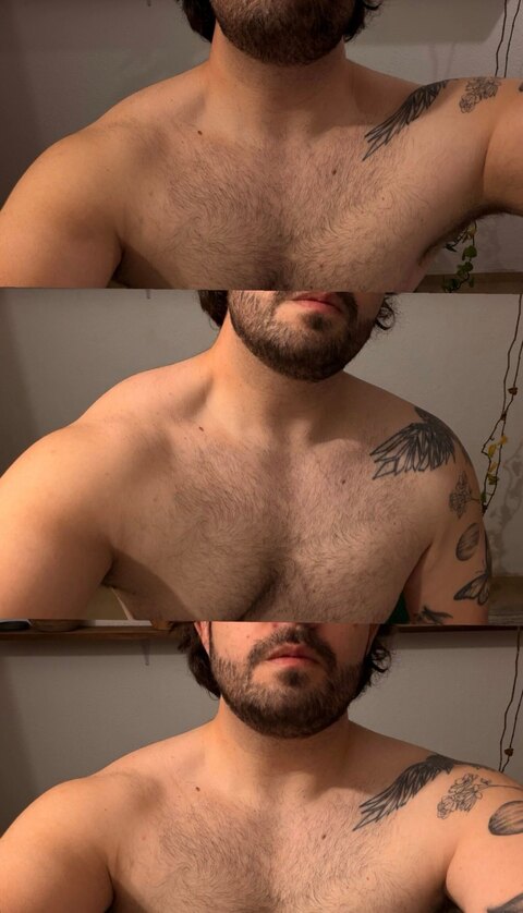mateo cover image