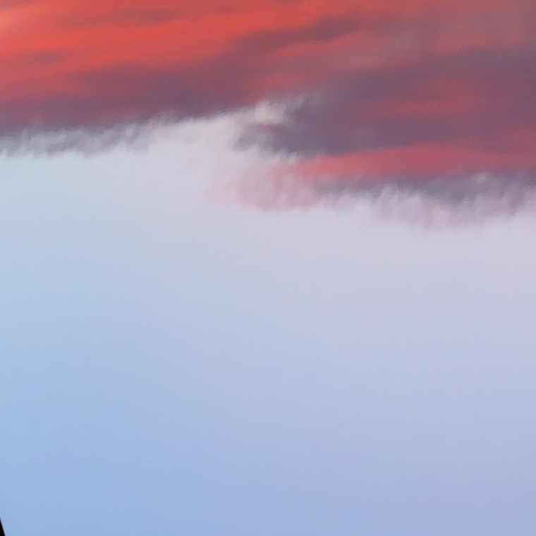 Lora banner image