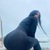 BadGirlDayanara avatar