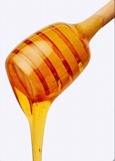 HotHoneyMama cover image