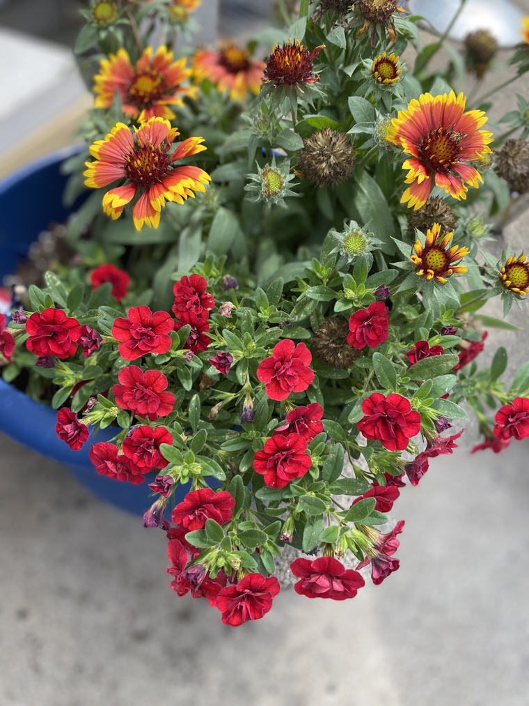 Hotmom4208 banner image