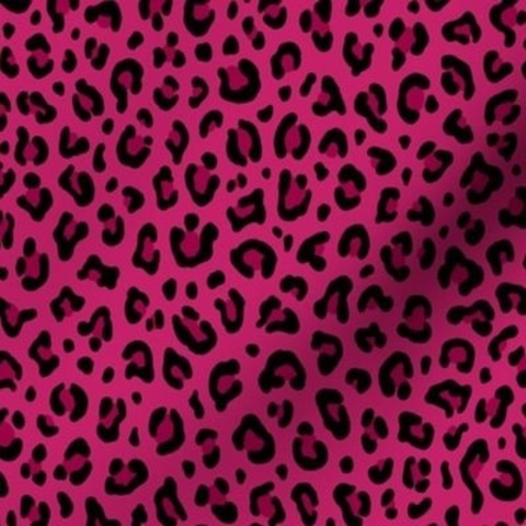 HotPunk1995CG cover image