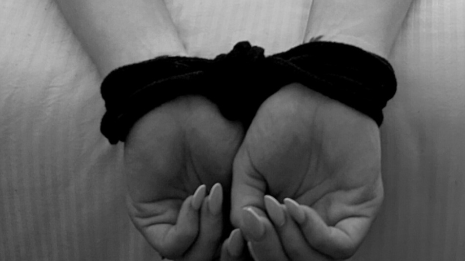 Hotwife & Her Dom banner image