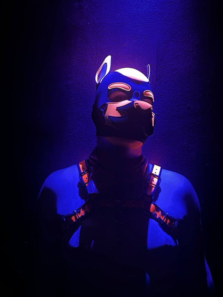 Quentin the Hellhound banner image