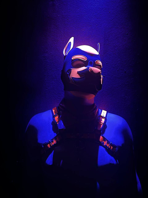 Quentin the Hellhound cover image
