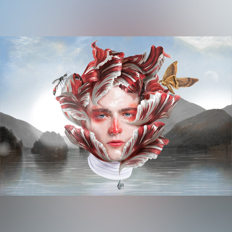 Alejo banner image