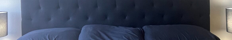 HugeCockRandy cover image