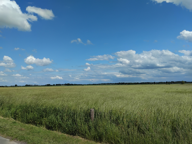 J_J banner image