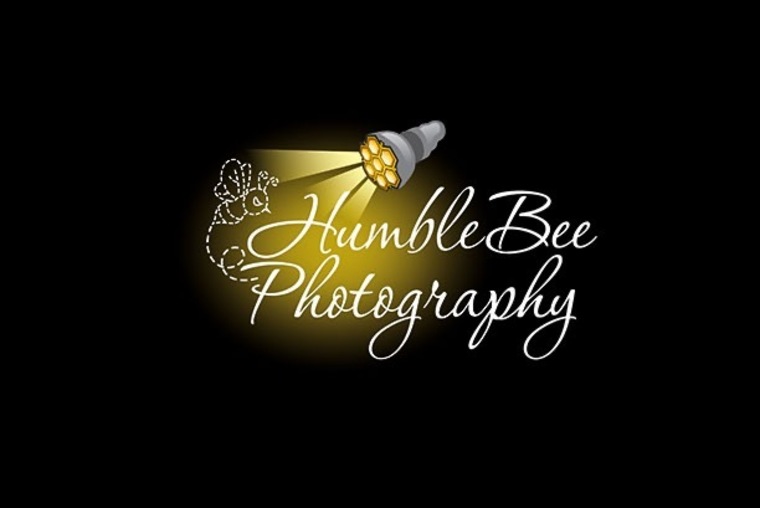 Humblebee photography cover image