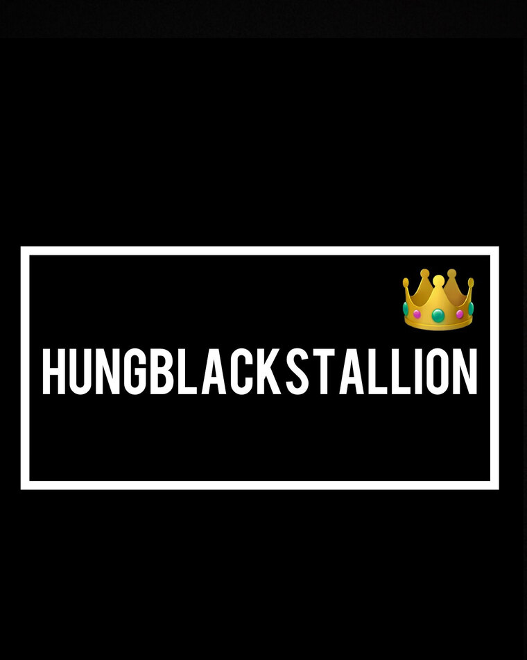 HungBlackStallion banner image