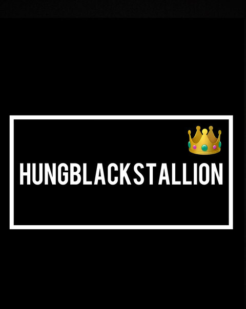 HungBlackStallion cover image