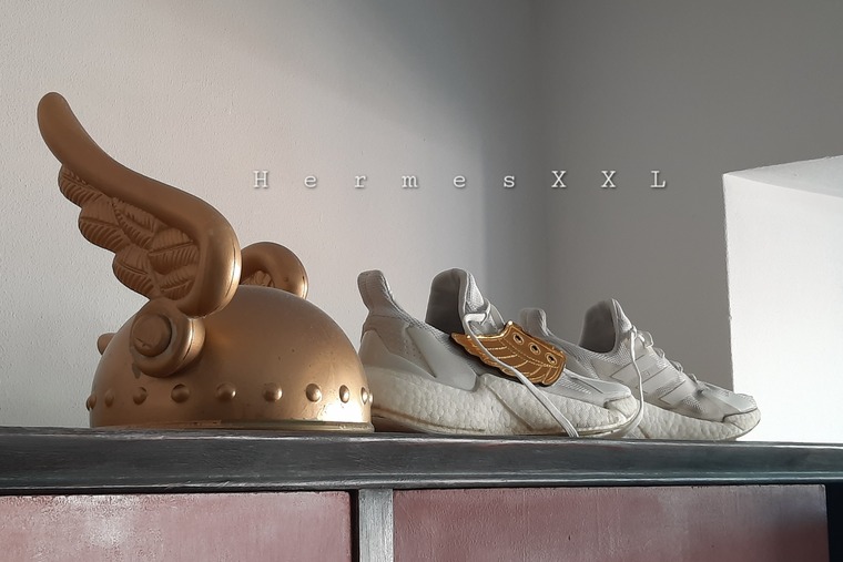 Hung Hermes banner image