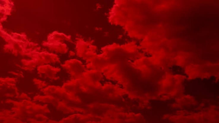 HunnyBunny666 banner image