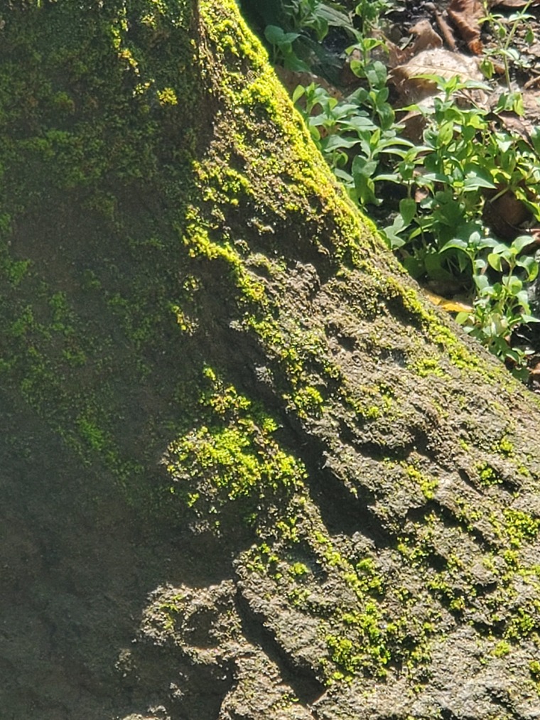 Huntingbros cover image