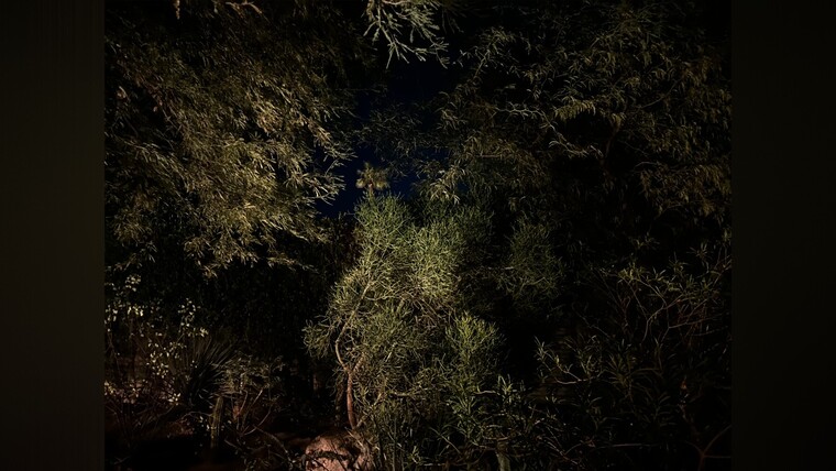 Hurryll cover image