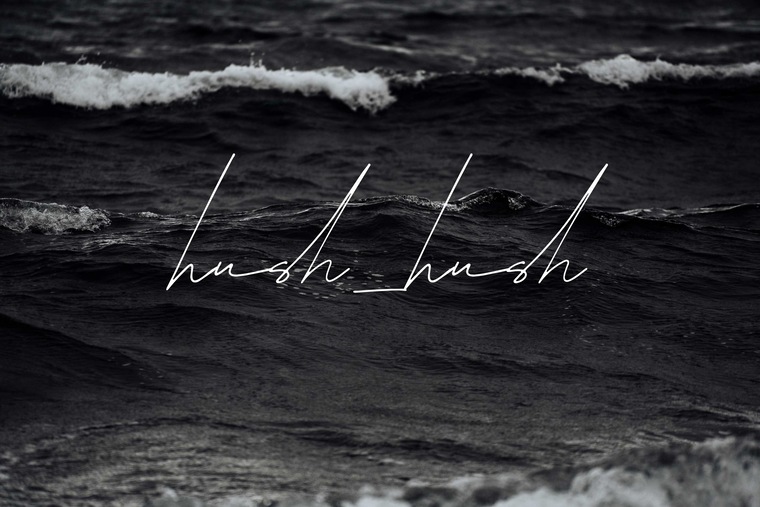 hush_hush cover image