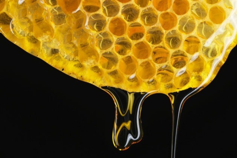 HvnnyBee banner image