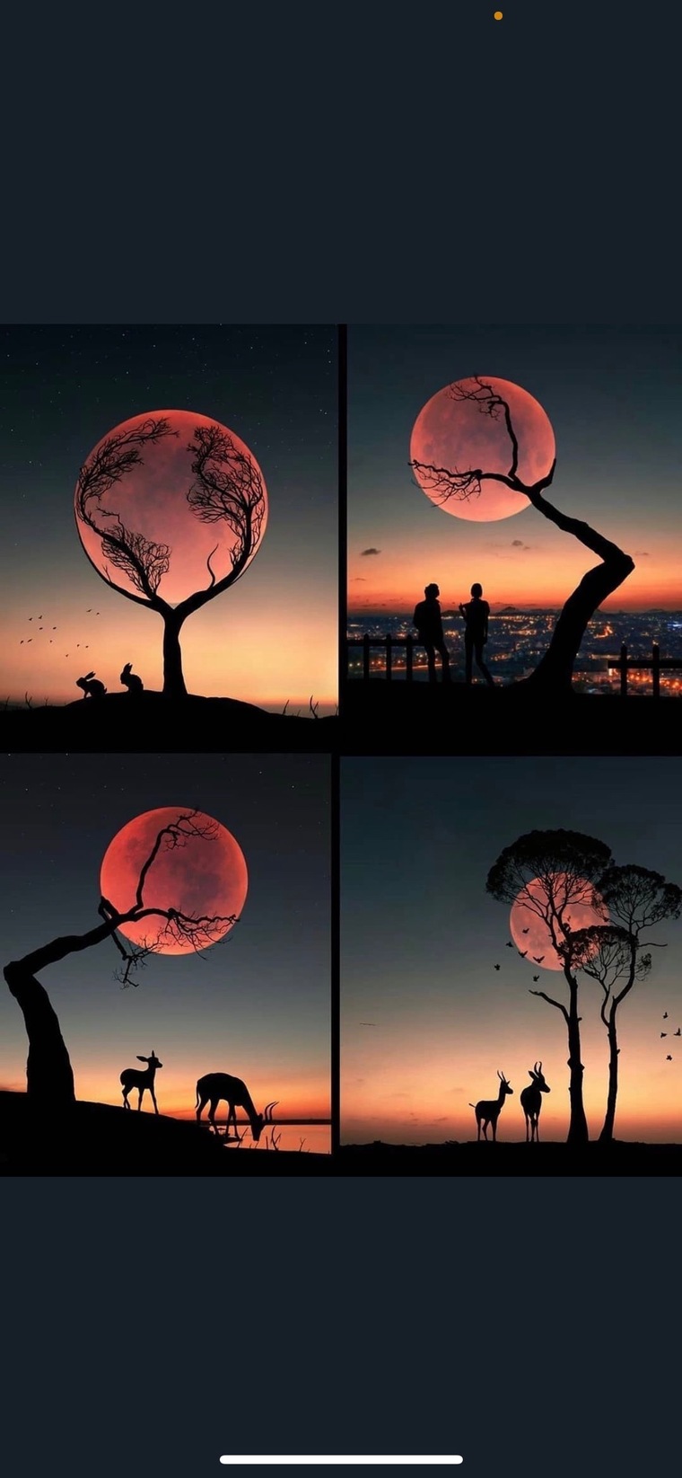HyugaGod cover image