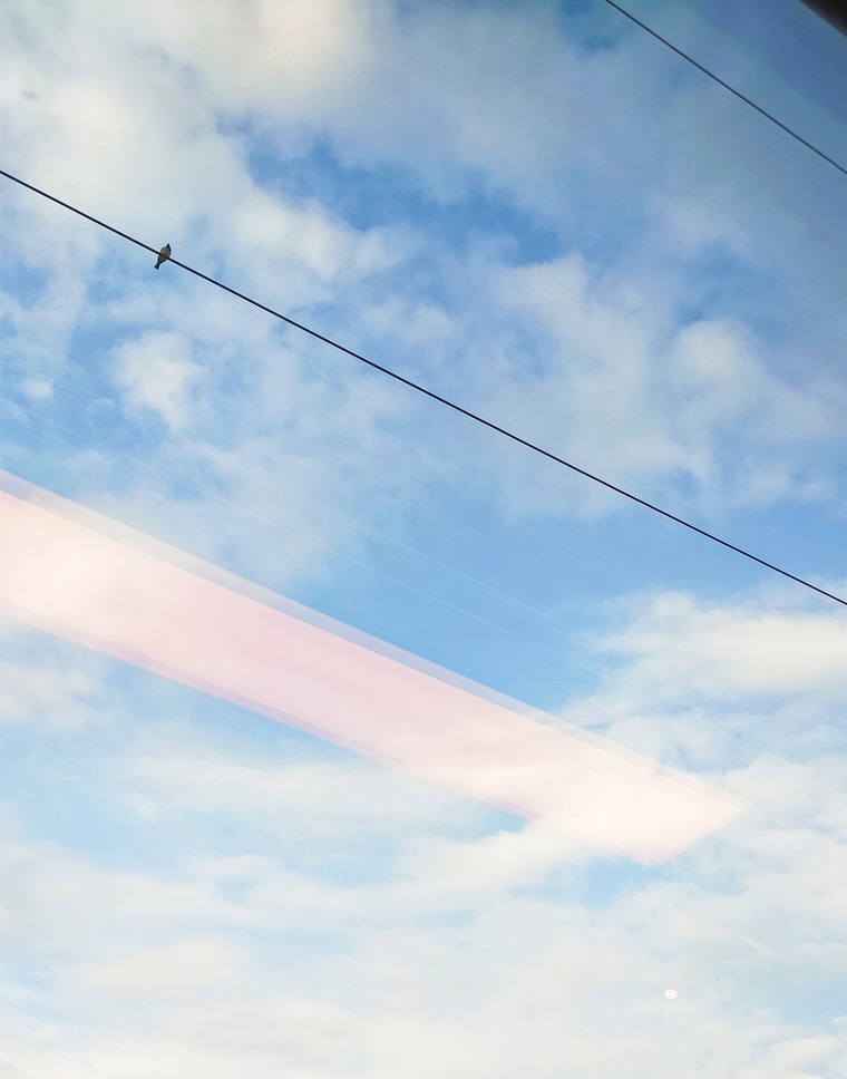 Cass banner image