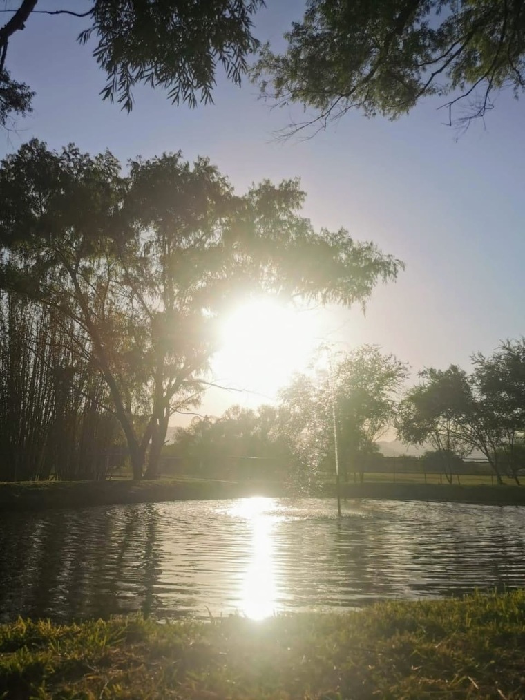 Iamdaysii11 cover image