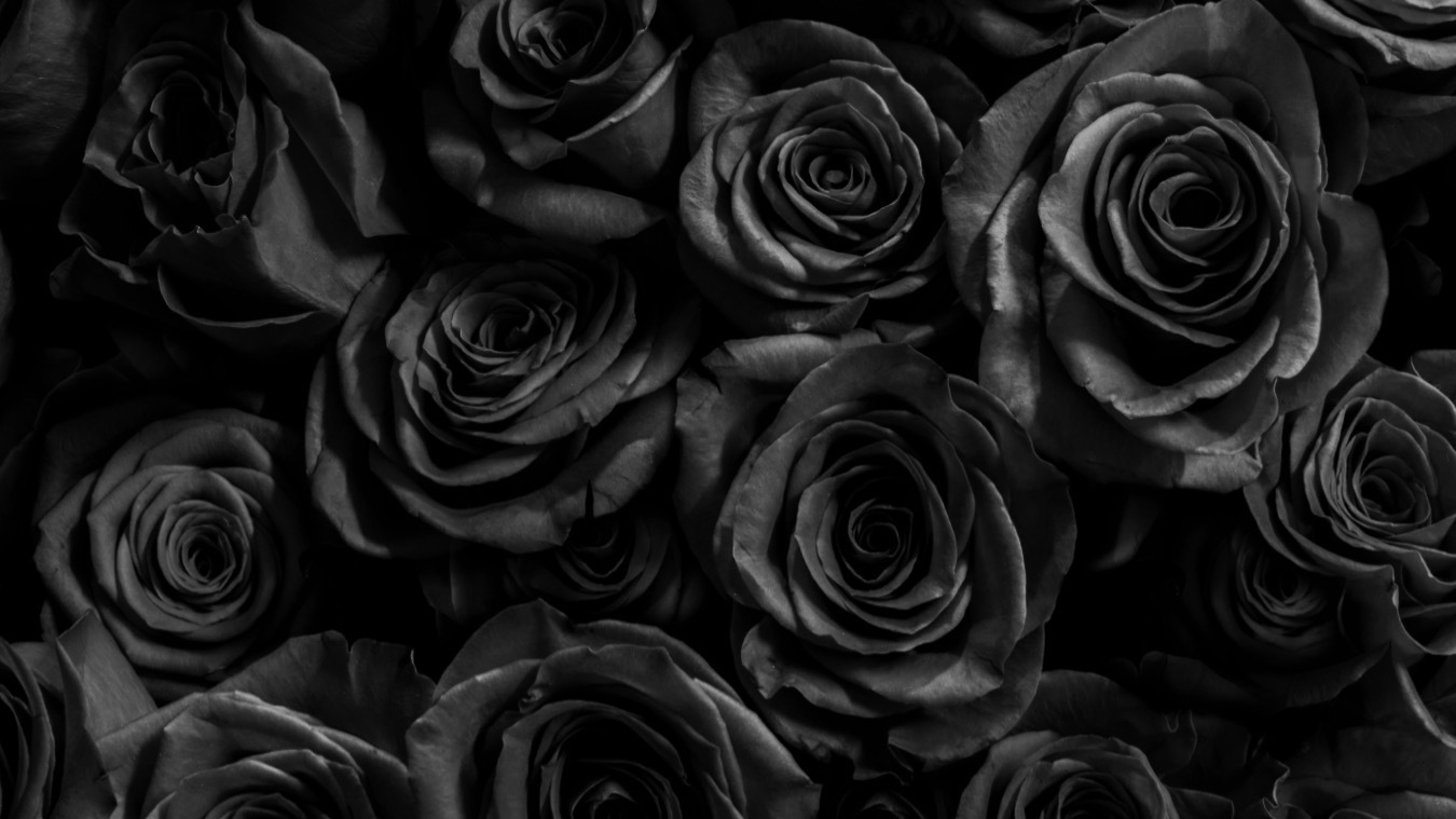Honey-brownn banner image