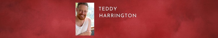 Teddy Harrington banner image