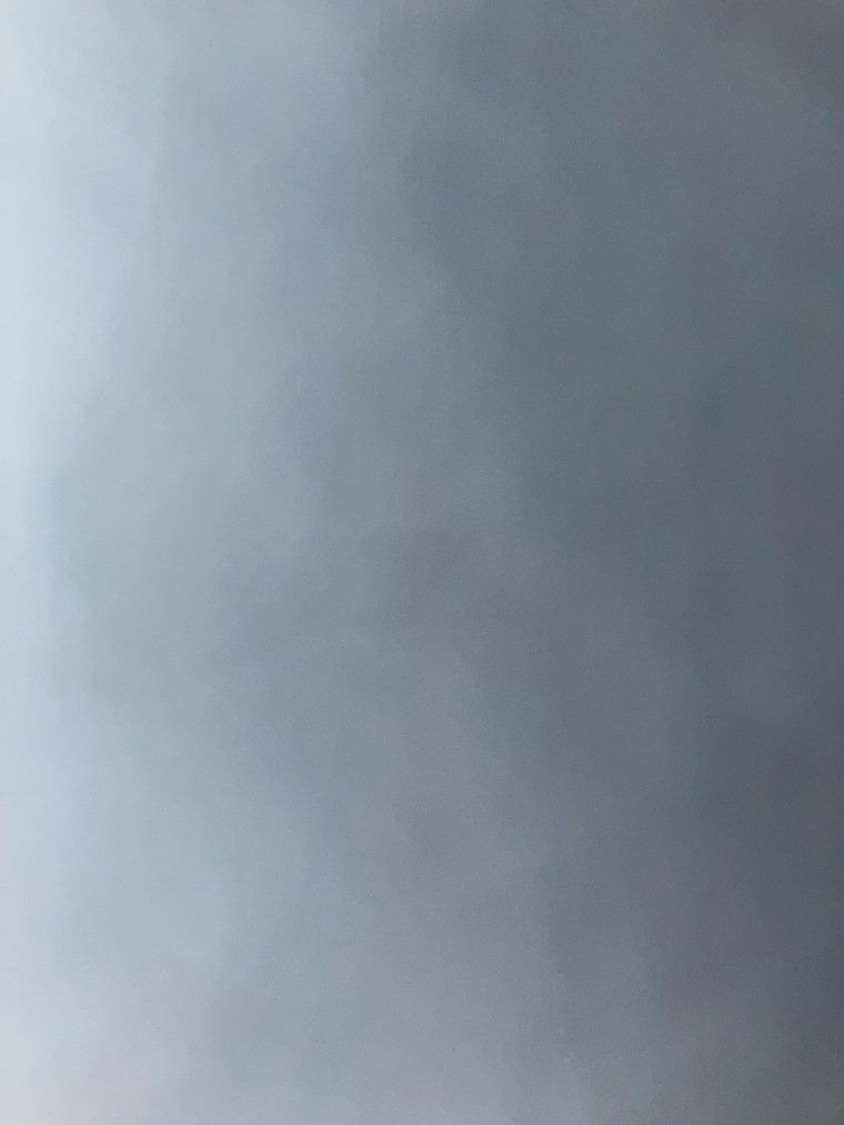 Bee Barrera 🐝 banner image
