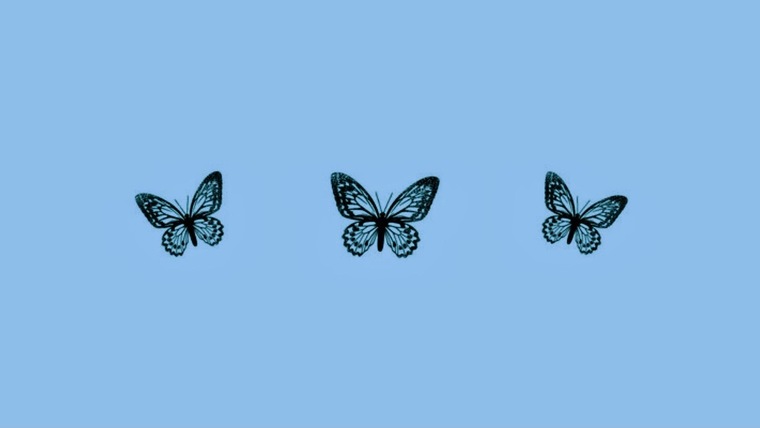 minx banner image