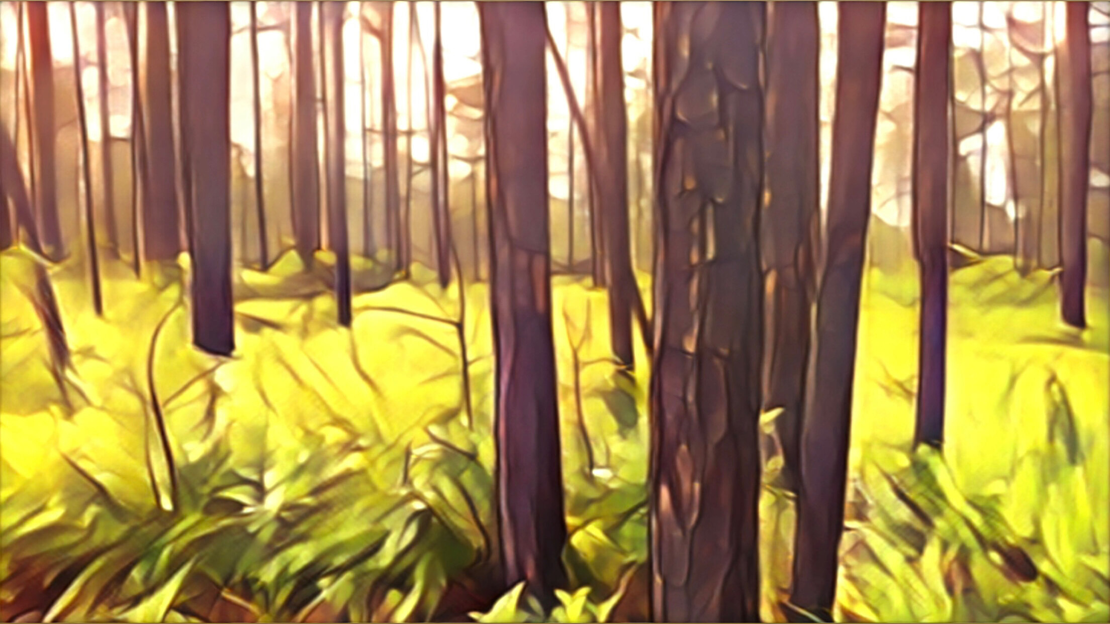 Col custer banner image