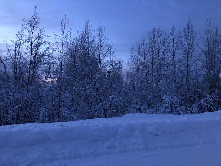 Icy Rhoadz cover image