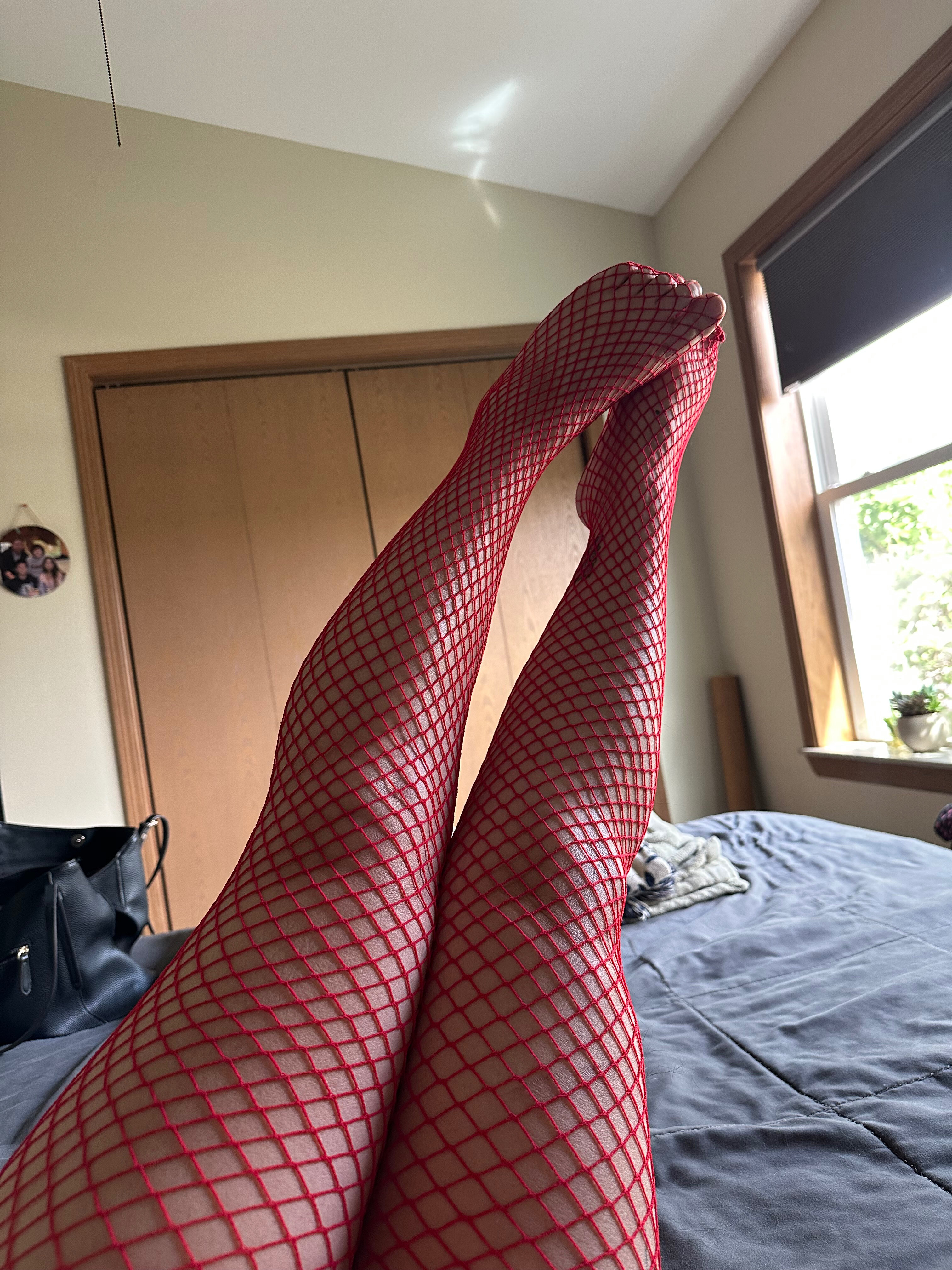 Molly banner image