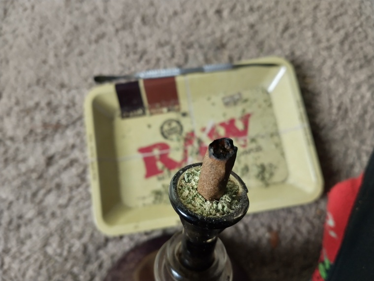 DigBig banner image