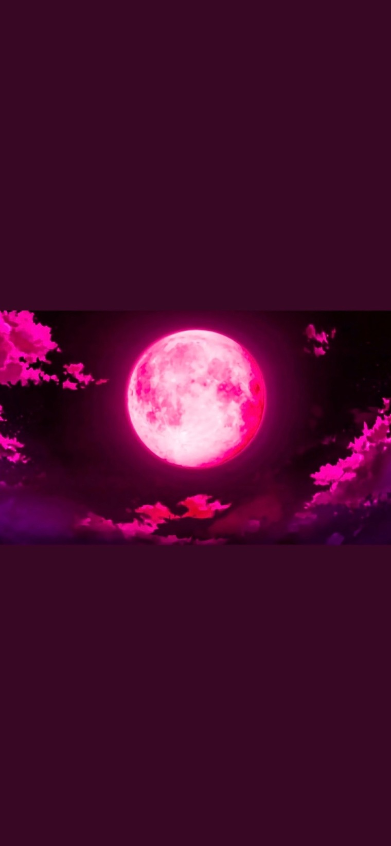 zee xx banner image