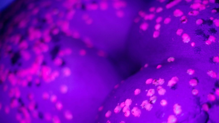 ihavapiness cover image