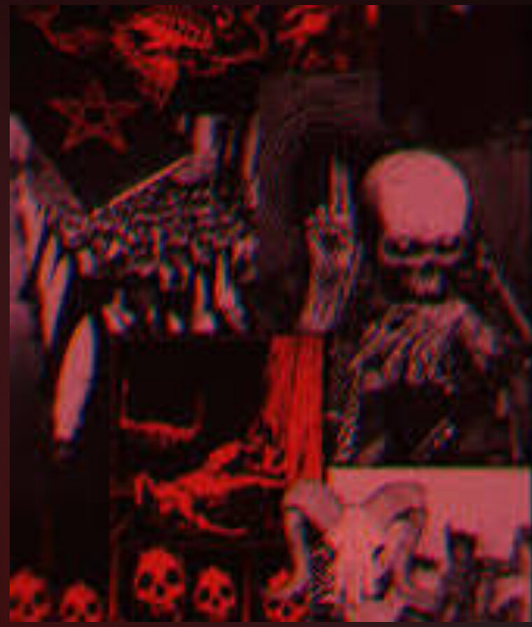 Montana cover image