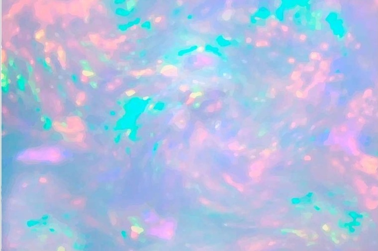 Dani Rider banner image