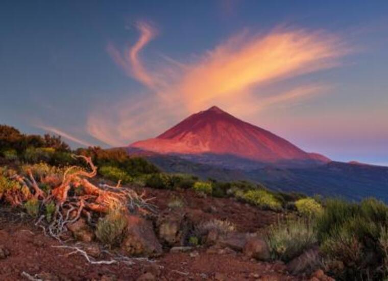 Anabell banner image