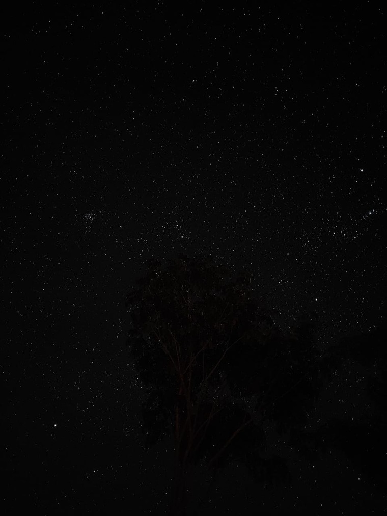 star banner image