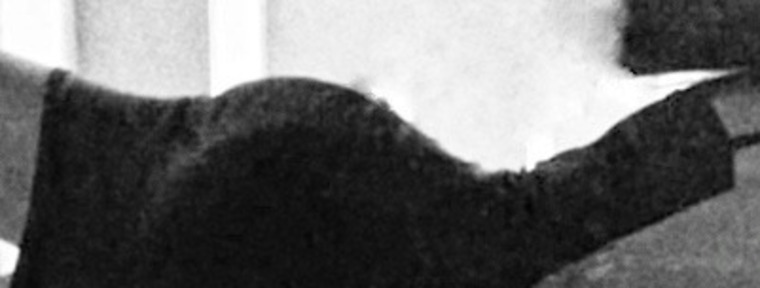 MaDi banner image